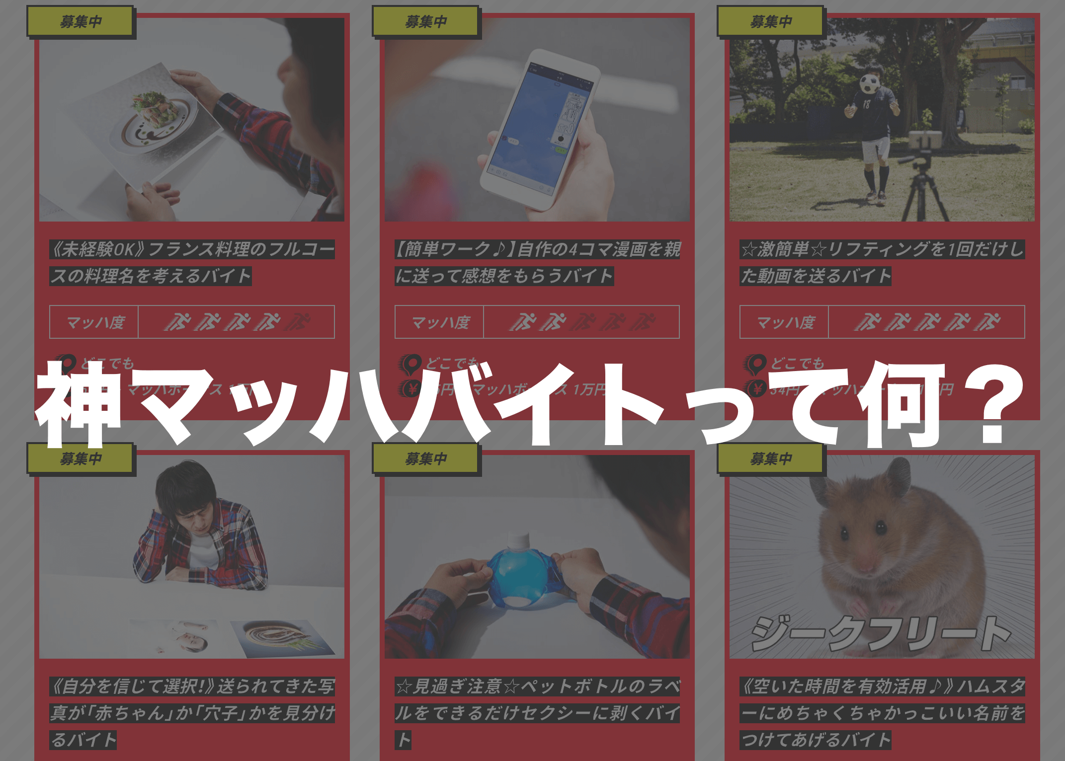 【神マッハバイトって何？】仕組みや評判、登録方法を紹介します！｜ニュースアルバイト 現場の真実